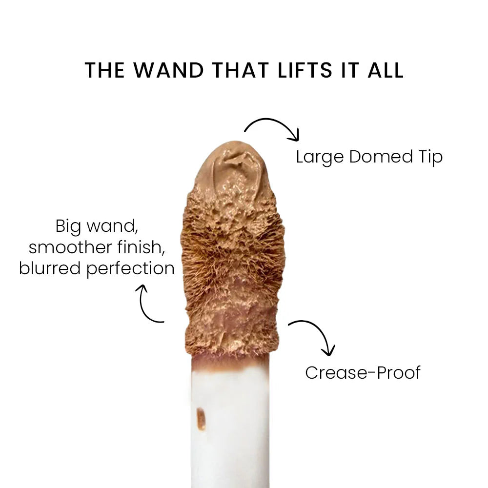 Shopaarel True Color Concealer 22N